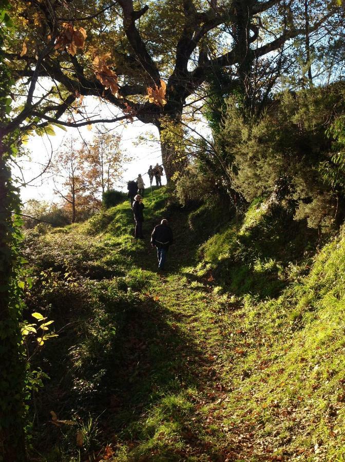 Leivi Il Nido Della Rondine Bed & Breakfast エクステリア 写真
