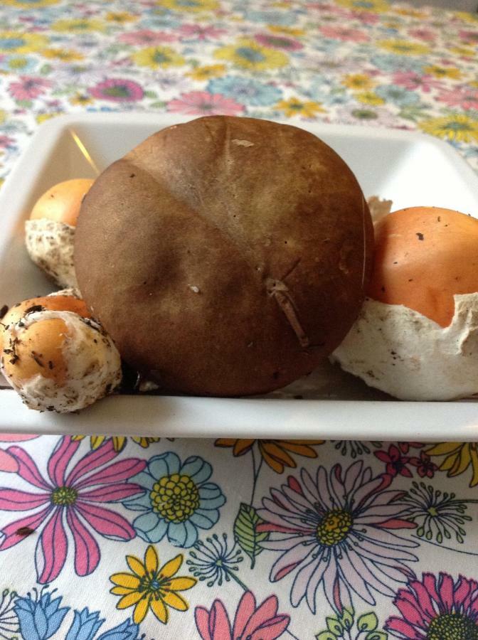 Leivi Il Nido Della Rondine Bed & Breakfast エクステリア 写真